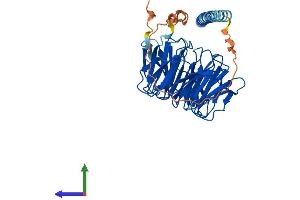 AlphaFold protein structure predicition of Mouse Recombinant Poc1a Protein, UniprotID Q8JZX3