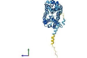 AlphaFold protein structure predicition of Mouse Recombinant Slc22a8 Protein, UniprotID O88909