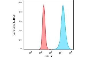 Flow Cytometric Analysis of HeLa cells.