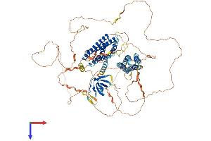AlphaFold protein structure predicition of Mouse Recombinant Bcar1 Protein, UniprotID Q61140
