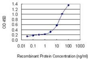 Detection limit for recombinant GST tagged CLTA is 0. (CLTA anticorps  (AA 118-176))