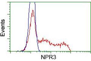 HEK293T cells transfected with either RC219453 overexpress plasmid (Red) or empty vector control plasmid (Blue) were immunostained by anti-NPR3 antibody (ABIN2453375), and then analyzed by flow cytometry. (NPR3 anticorps)