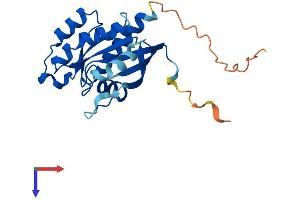 AlphaFold protein structure predicition of Mouse Recombinant Rab43 Protein, UniprotID Q8CG50