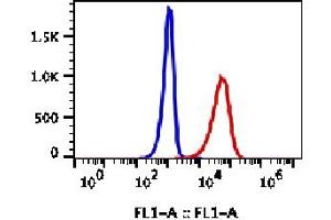 Image no. 2 for anti-Membrane Metallo-Endopeptidase (MME) antibody (ABIN5067799)