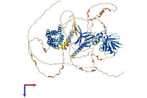 AlphaFold protein structure predicition of Mouse Recombinant Fgd1 Protein, UniprotID P52734