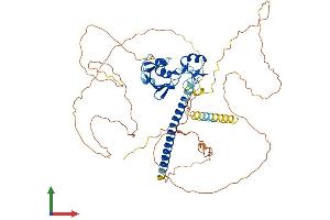 AlphaFold protein structure predicition of Human Recombinant DEAF1 Protein, UniprotID O75398