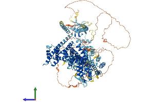 AlphaFold protein structure predicition of Human Recombinant RASGRF1 Protein, UniprotID Q13972