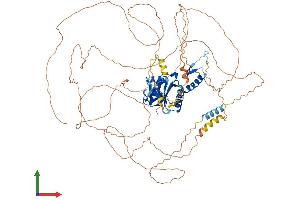 AlphaFold protein structure predicition of Mouse Recombinant Esco1 Protein, UniprotID Q69Z69