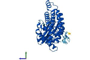 AlphaFold protein structure predicition of Mouse Recombinant Etnk1 Protein, UniprotID Q9D4V0