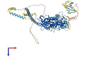 AlphaFold protein structure predicition of Mouse Recombinant Txndc11 Protein, UniprotID Q8K2W3