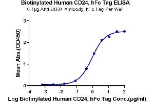 Immobilized Anti-CD24 Antibody, hFc Tag at 1 μg/mL (100 μL/Well) on the plate.