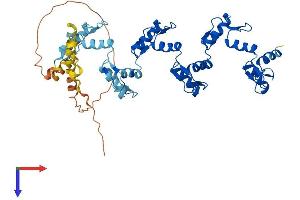 AlphaFold protein structure predicition of Human Recombinant ZNF436 Protein, UniprotID Q9C0F3