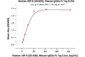 Immobilized Mouse Dkk-1, His Tag (ABIN2870732,ABIN2870733) at 5 μg/mL (100 μL/well) can bind Human LRP-6 (20-630), Mouse IgG2a Fc Tag (ABIN6923175,ABIN6938849) with a linear range of 10-78 ng/mL (QC tested). (LRP6 Protein (AA 20-630) (Fc Tag))