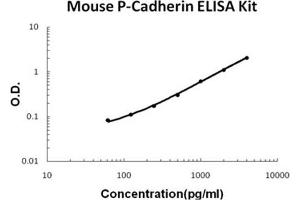 Mouse P-Cadherin PicoKine ELISA Kit standard curve