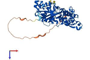 AlphaFold protein structure predicition of Human Recombinant ACTL7B Protein, UniprotID Q9Y614