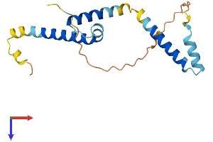 AlphaFold protein structure predicition of Human Recombinant HES5 Protein, UniprotID Q5TA89