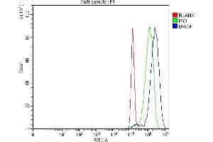 Flow Cytometry analysis of PC-3 cells using anti-BRD9 antibody (ABIN7602322).