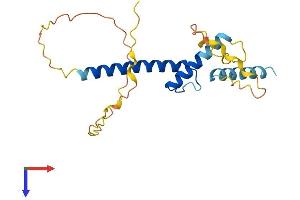 AlphaFold protein structure predicition of Mouse Recombinant Scx Protein, UniprotID Q64124