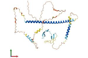 AlphaFold protein structure predicition of Human Recombinant MCIDAS Protein, UniprotID D6RGH6