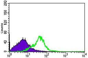 Flow cytometric analysis of HEK293 cells using DNAL4 mouse mAb (green) and negative control (purple).