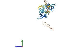 AlphaFold protein structure predicition of Human Recombinant NDN Protein, UniprotID Q99608