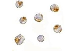 Immunohistochemistry (IHC) image for anti-Nucleoporin 107kDa (NUP107) (Middle Region) antibody (ABIN1031028) (NUP107 anticorps  (Middle Region))