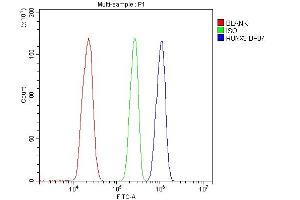 Flow Cytometry analysis of THP-1 cells using anti-RUNX3 antibody (ABIN3043429).
