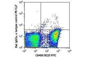 Flow Cytometry (FACS) image for Rat anti-Mouse IgD antibody (PE-Cy7) (ABIN2667030)