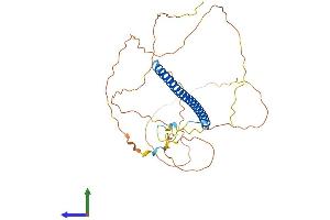 AlphaFold protein structure predicition of Human Recombinant FOSB Protein, UniprotID P53539