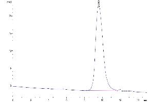 The purity of Mouse CD79B is greater than 95 % as determined by SEC-HPLC.