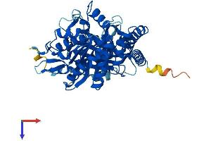 AlphaFold protein structure predicition of Mouse Recombinant Tuba8 Protein, UniprotID Q9JJZ2