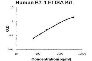 Human B7-1/CD80 PicoKine ELISA Kit standard curve (CD80 Kit ELISA)