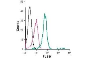 Cell surface detection of Ghrelin receptor in live intact human THP-1 monocytic leukemia cells: (black line) Cells.