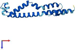 AlphaFold protein structure predicition of Human Recombinant CNEP1R1 Protein, UniprotID Q8N9A8