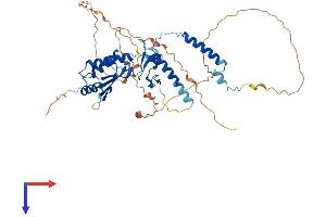 AlphaFold protein structure predicition of Mouse Recombinant Rnf25 Protein, UniprotID Q9QZR0