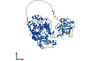 AlphaFold protein structure predicition of Mouse Recombinant Galnt10 Protein, UniprotID Q6P9S7