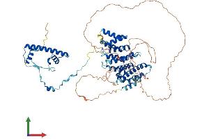 AlphaFold protein structure predicition of Human Recombinant TAF6L Protein, UniprotID Q9Y6J9