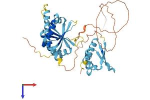 AlphaFold protein structure predicition of Human Recombinant PCBP1 Protein, UniprotID Q15365