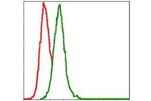 Flow cytometric analysis of Hela cells using MAP2K7 mouse mAb (green) and negative control (red).