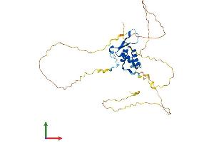 AlphaFold protein structure predicition of Human Recombinant FOXL1 Protein, UniprotID Q12952