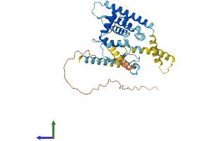 AlphaFold protein structure predicition of Mouse Recombinant Gdap1l1 Protein, UniprotID Q8VE33