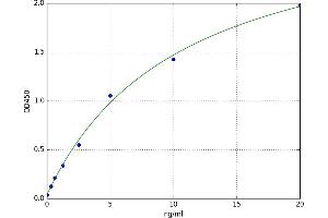 Glutamic-Oxaloacetic Transaminase 1, Soluble (Aspartate Aminotransferase 1) (GOT1) ELISA Kit