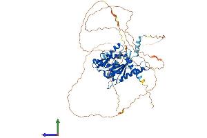 AlphaFold protein structure predicition of Mouse Recombinant Septin9 Protein, UniprotID Q80UG5