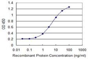 Detection limit for recombinant GST tagged CTNNB1 is 0. (CTNNB1 anticorps  (AA 682-781))