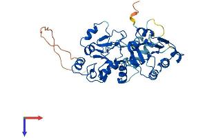 AlphaFold protein structure predicition of Human Recombinant DNMT3L Protein, UniprotID Q9UJW3