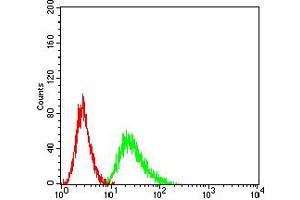 Flow cytometric analysis of Ramos cells using CD191 mouse mAb (green) and negative control (red).
