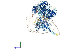 AlphaFold protein structure predicition of Mouse Recombinant Myo3b Protein, UniprotID Q1EG27