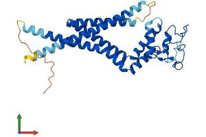 AlphaFold protein structure predicition of Human Recombinant TSPAN15 Protein, UniprotID O95858