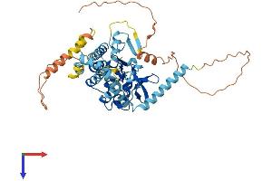AlphaFold protein structure predicition of Human Recombinant PNPLA3 Protein, UniprotID Q9NST1