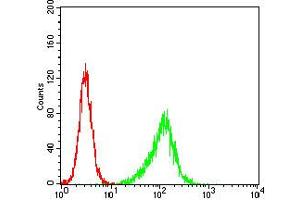 anti-Phospholipase C gamma 2 (PLCG2) (pTyr753) antibody